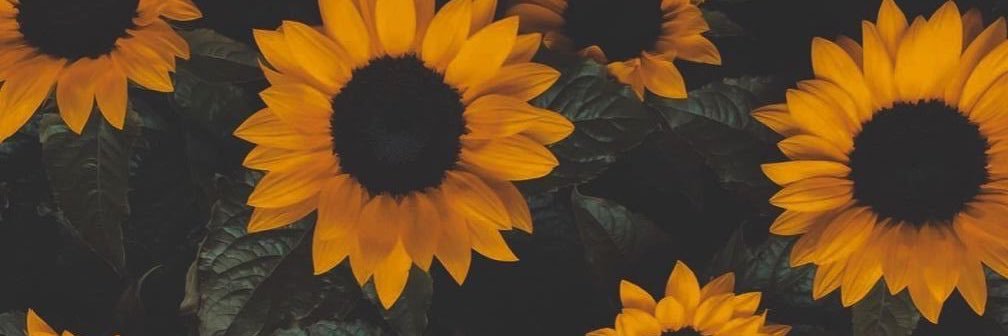 Pameel98's profile banner image