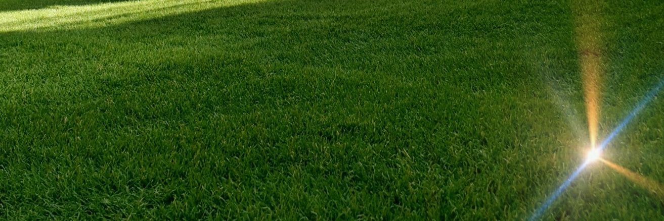 JIMatute's profile banner image