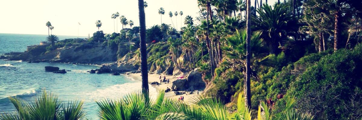 Matt Wray®️ banner