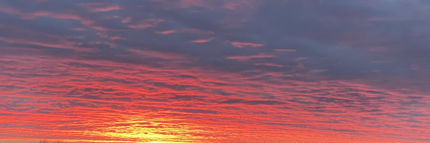 antonellaz87's profile banner image