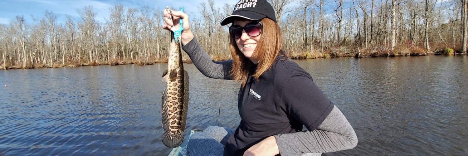 Catie425's profile banner image