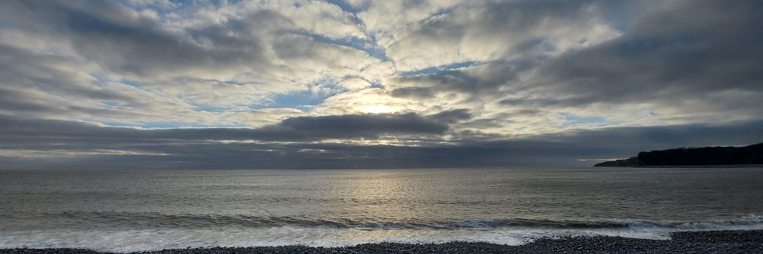 Anne Reardon-James banner