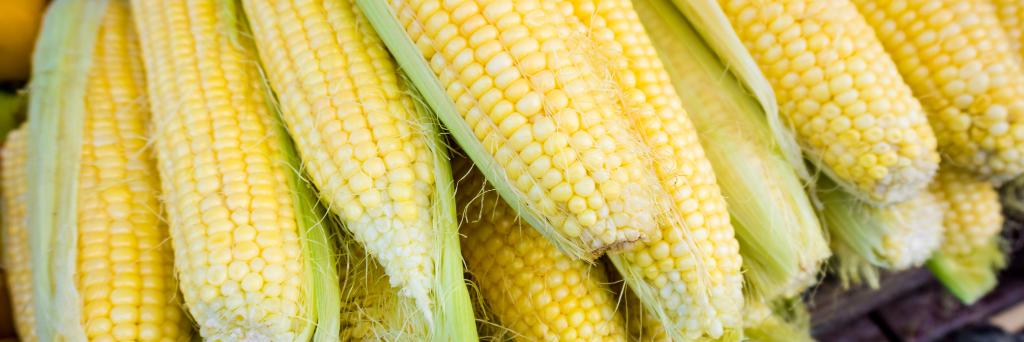 Buy Local Challenge banner