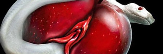 GloManQuail's profile banner image
