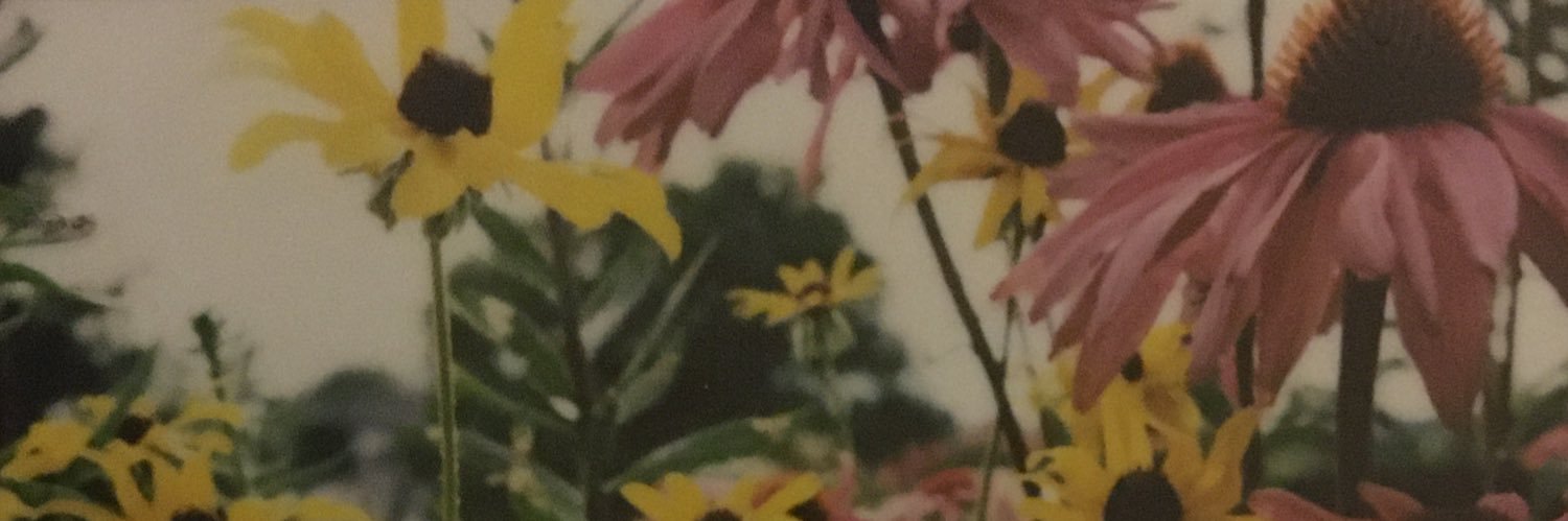 grlledcheesus's profile banner image
