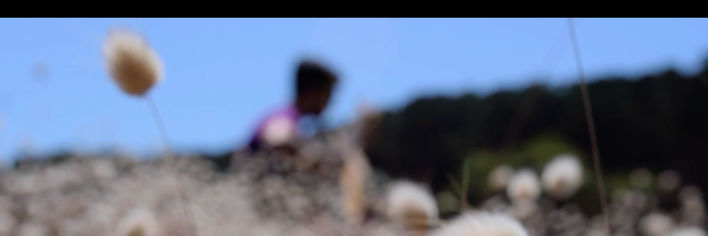 Jonathan Caroca ♫ banner