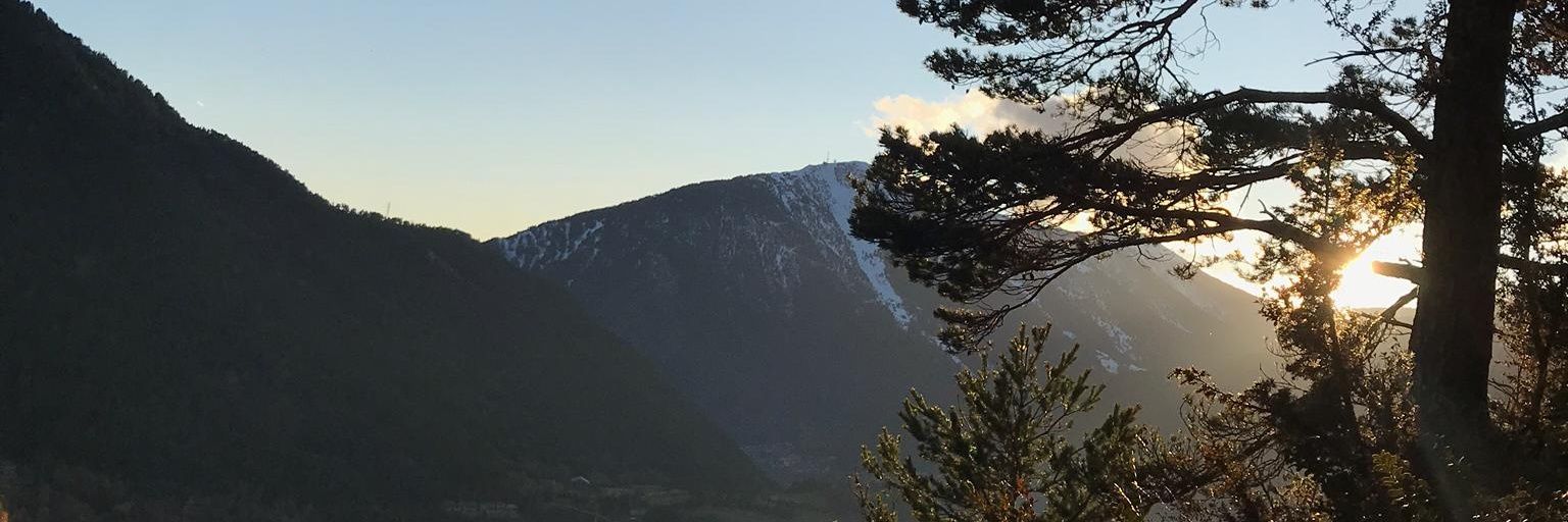 mirkoolmoos's profile banner image