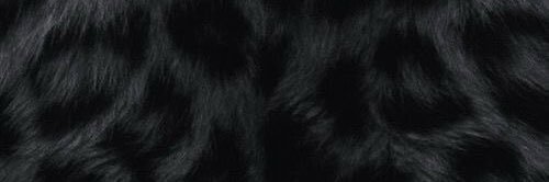 AllAboutQP's profile banner image