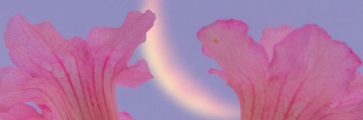 hellorachelrose's profile banner image