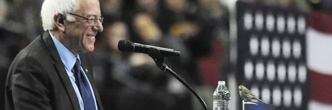 _benmunroe's profile banner image