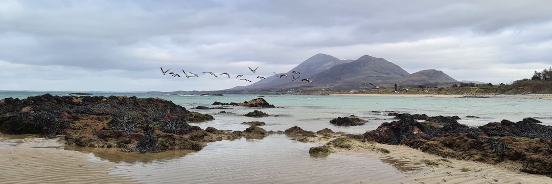 phneedham's profile banner image