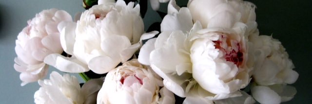 Dinaaa__'s profile banner image