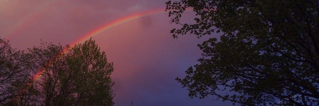 cesartoorress's profile banner image