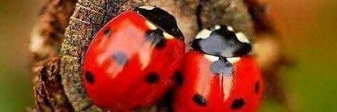 plkaratas's profile banner image