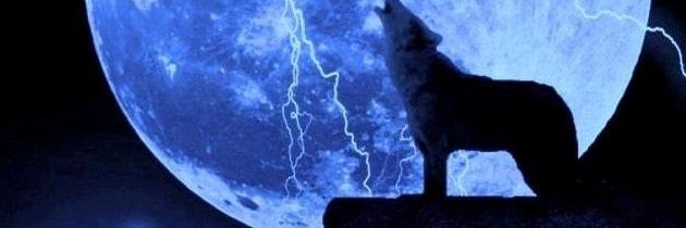 Memos_2the_moon's profile banner image