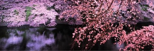 _noncomprendo's profile banner image