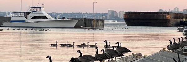 JHook528 Profile Banner