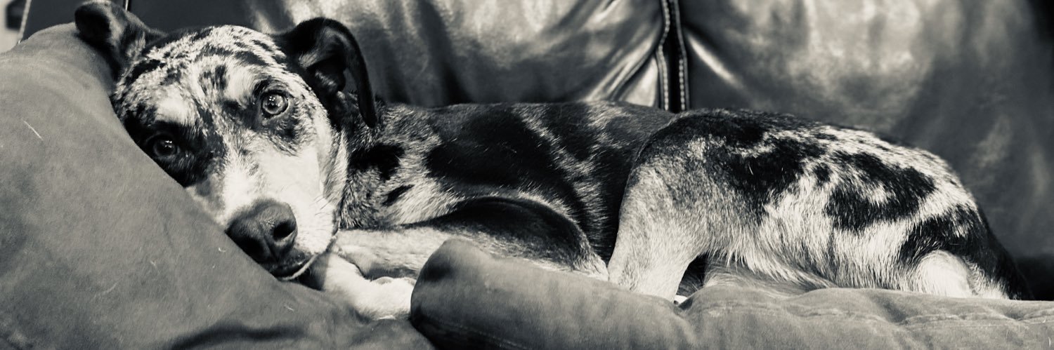 hannahjoevans's profile banner image
