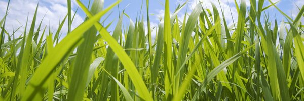 visiosolar Profile Banner