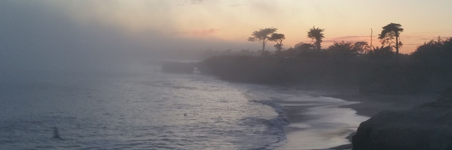 michaeleetodd's profile banner image