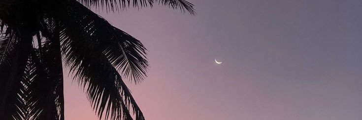 letieko's profile banner image