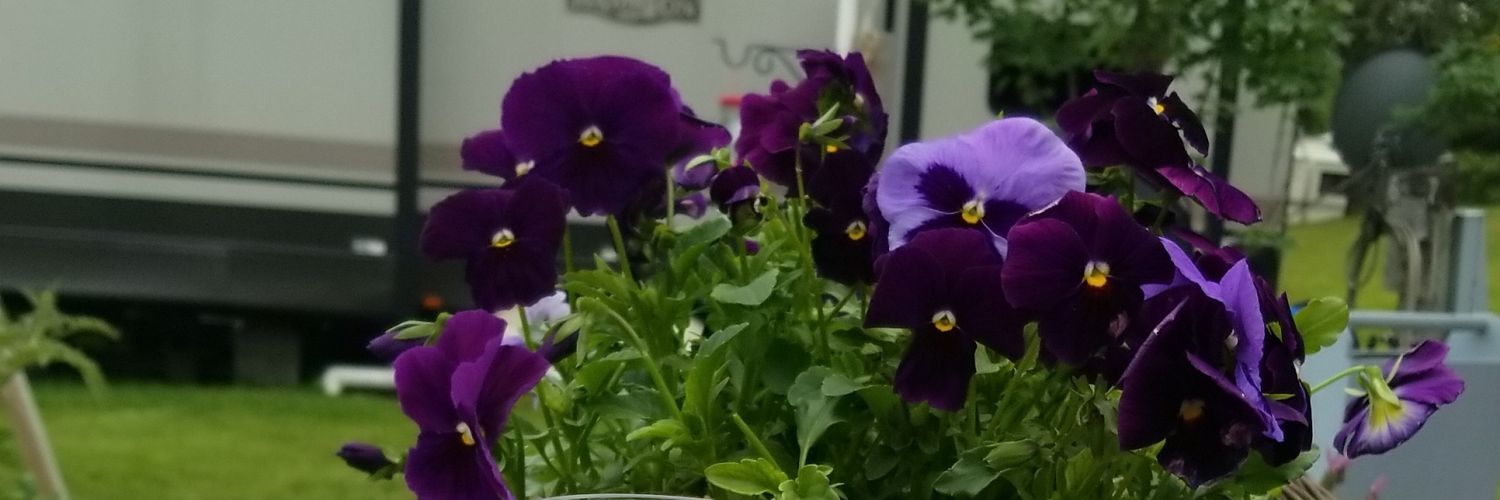 rjcmccarthy's profile banner image