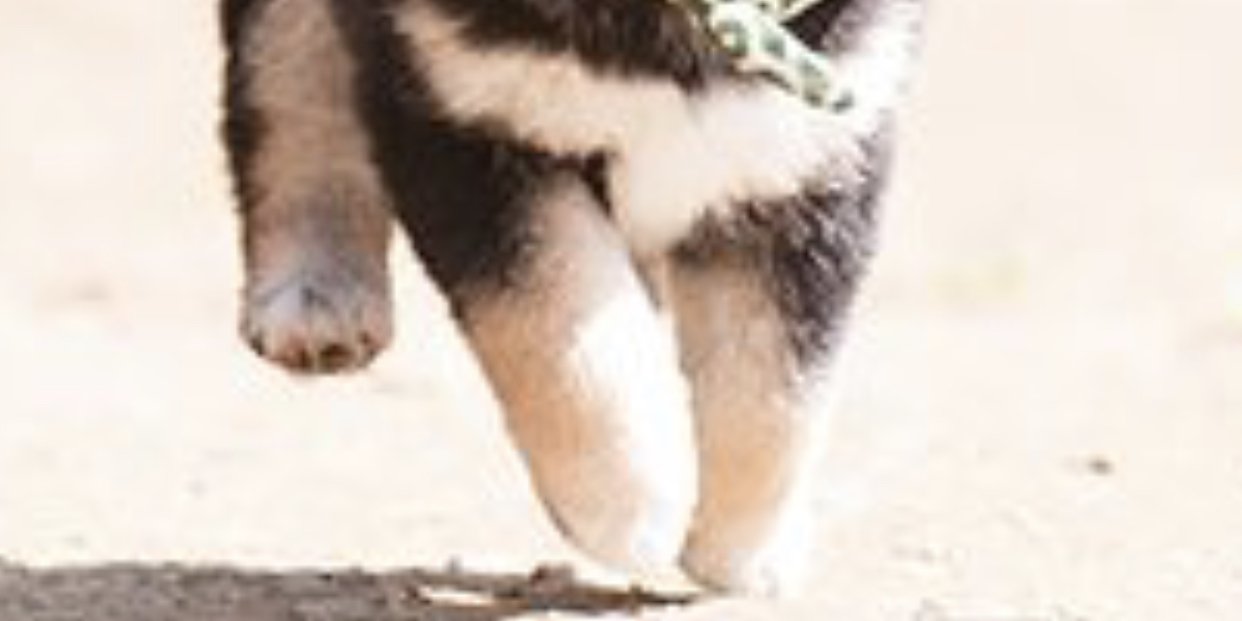 まきみー　タイツ履いてる611 banner