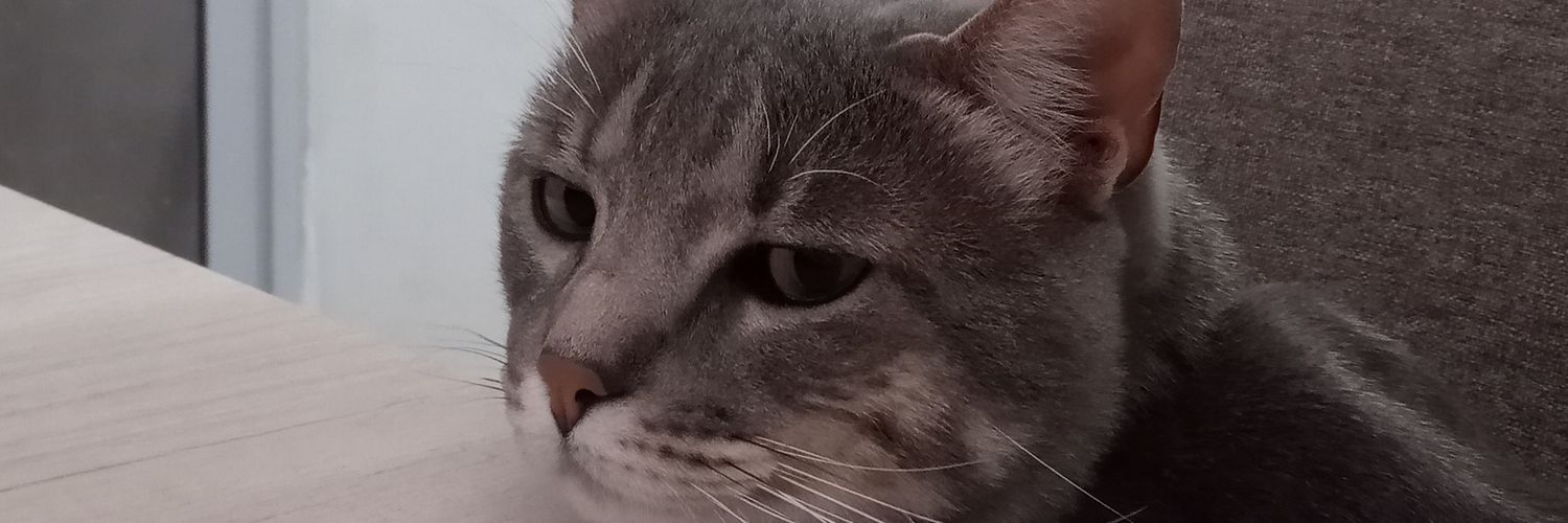 _candekr's profile banner image
