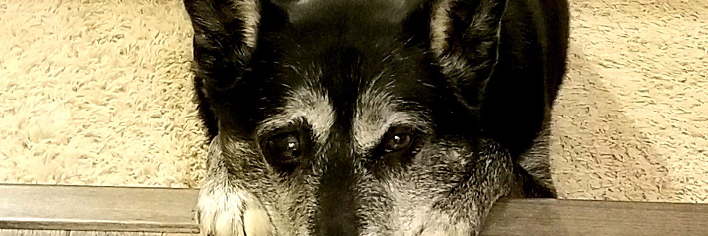 RaychullWould's profile banner image