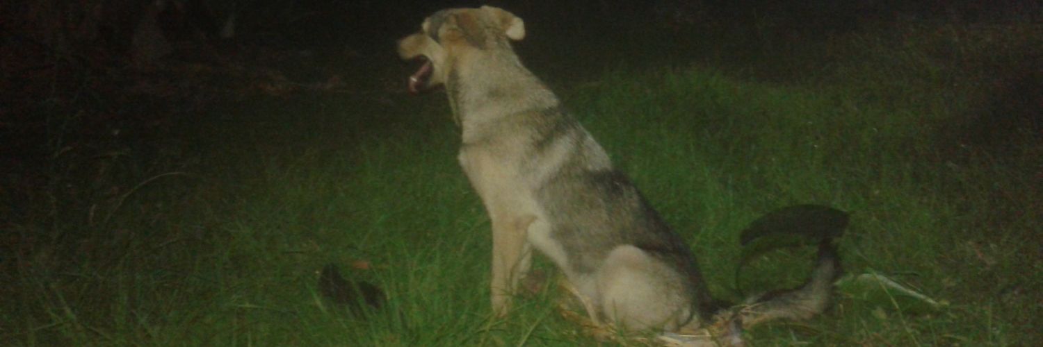 ousmansonko63's profile banner image