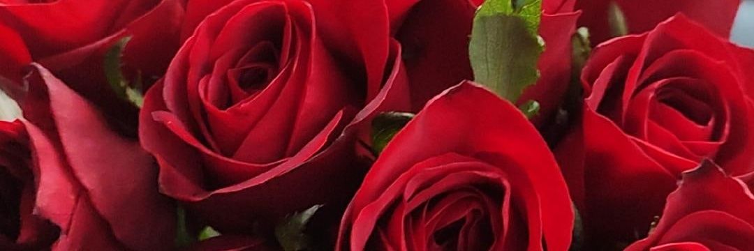 JenyyAvalos's profile banner image