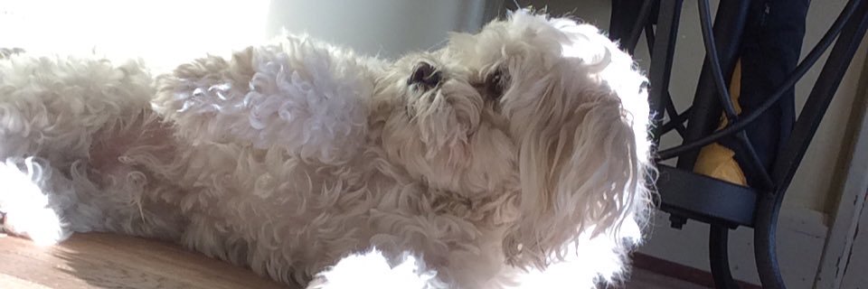 emmamaxrox's profile banner image