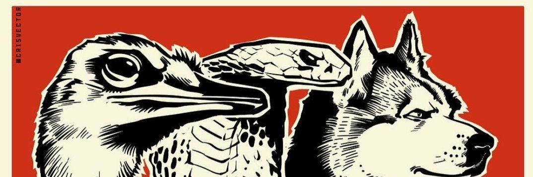 paracreitos's profile banner image