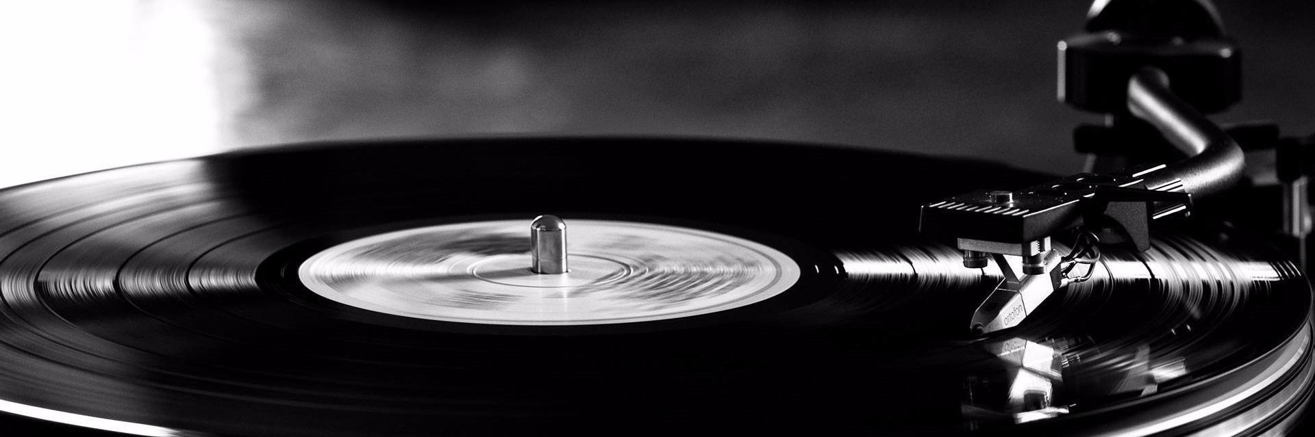 LadyFreakuency banner