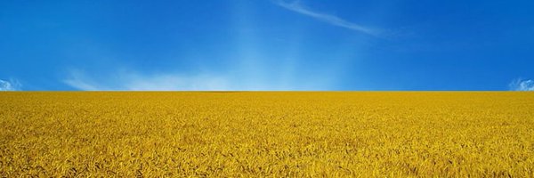 lafortdi Profile Banner