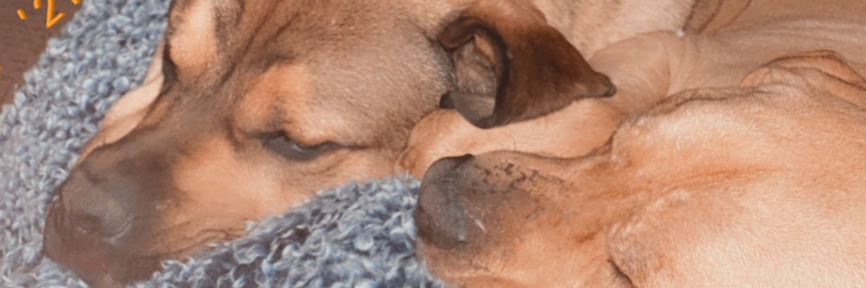 Jenna💋 banner