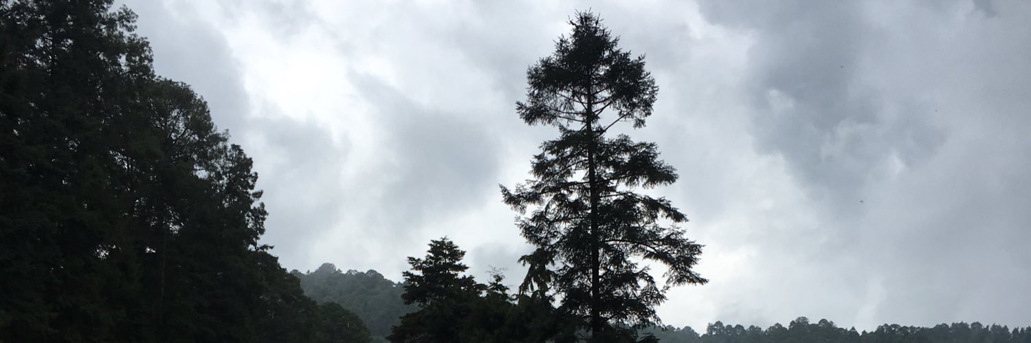 juliocharin's profile banner image