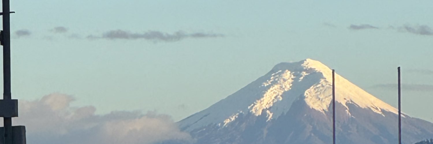savanwolf's profile banner image