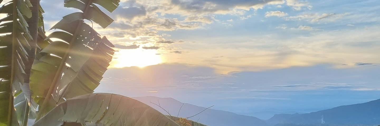 dm_velez's profile banner image