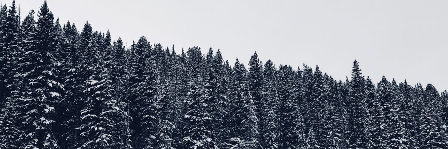 OlsonSierra's profile banner image
