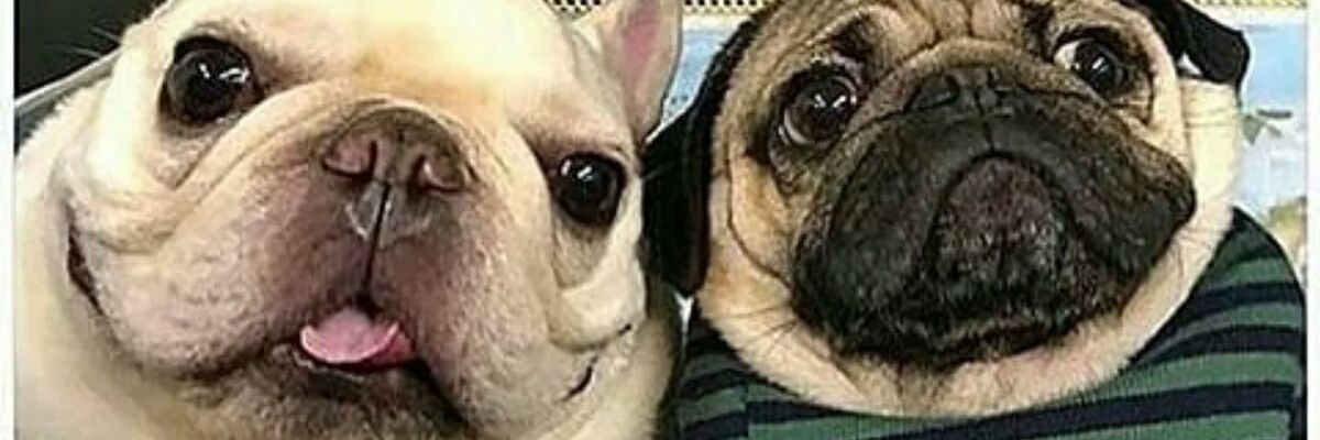 valegarrocho's profile banner image