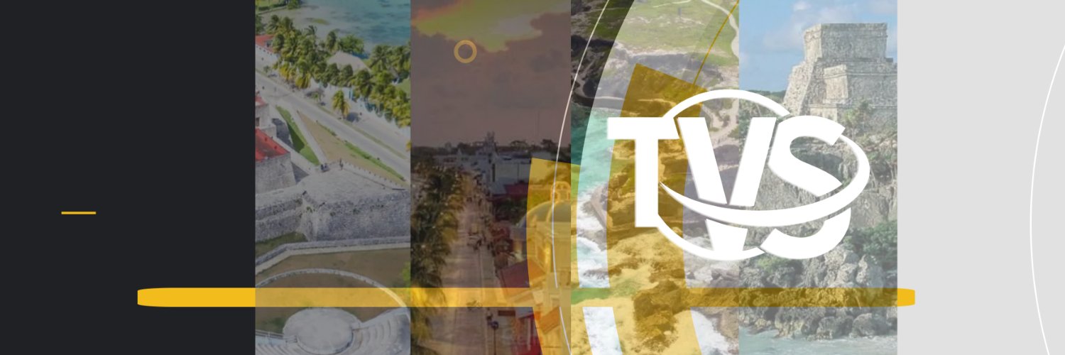 Televisión del Sur banner