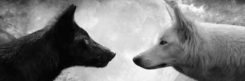 ΓΘμαη 🐺 banner