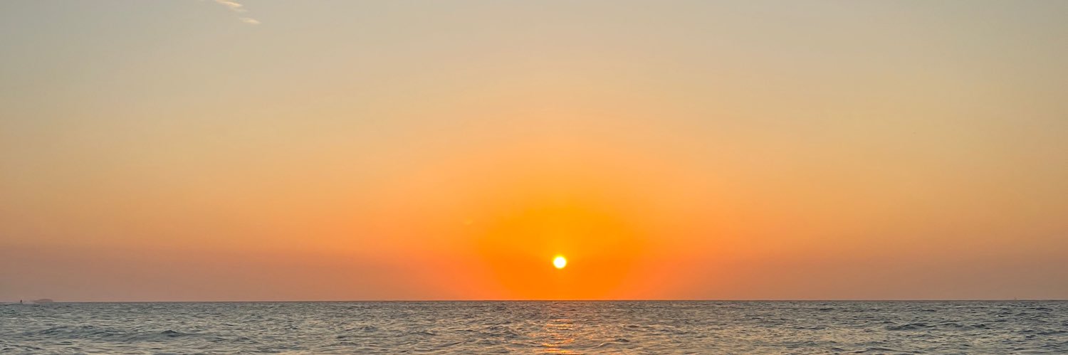 REINAPETEVI's profile banner image