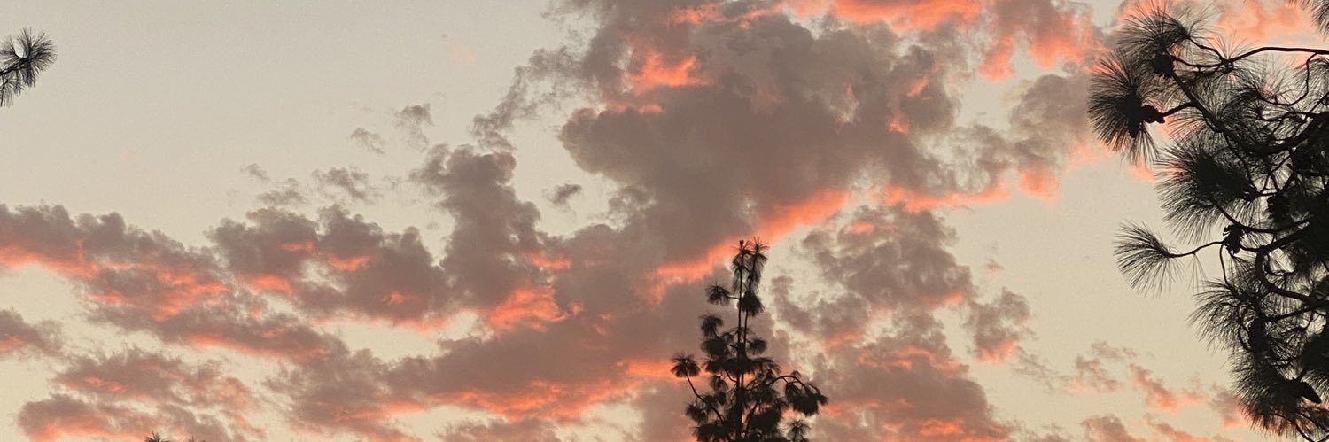 ayeenenaa's profile banner image