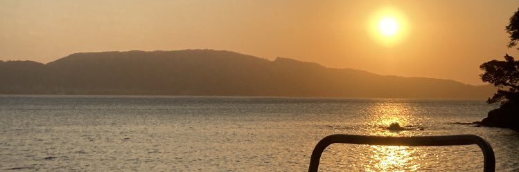 anavibabi's profile banner image