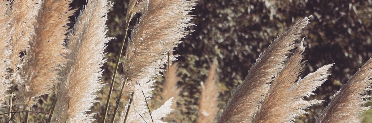 Jessica Hurst banner