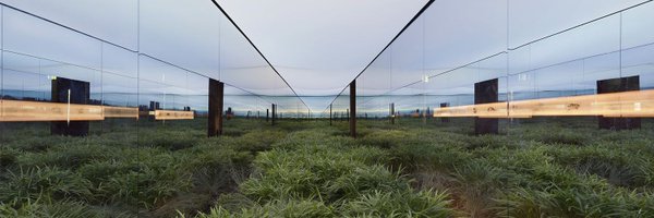 alejandrocsome Profile Banner