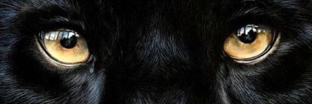 DrykaLouka's profile banner image