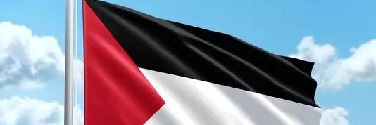 MichelArbache's profile banner image